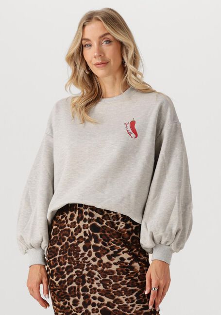 Grijze YDENCE Sweater SWEATER JUST CHILLIN - large