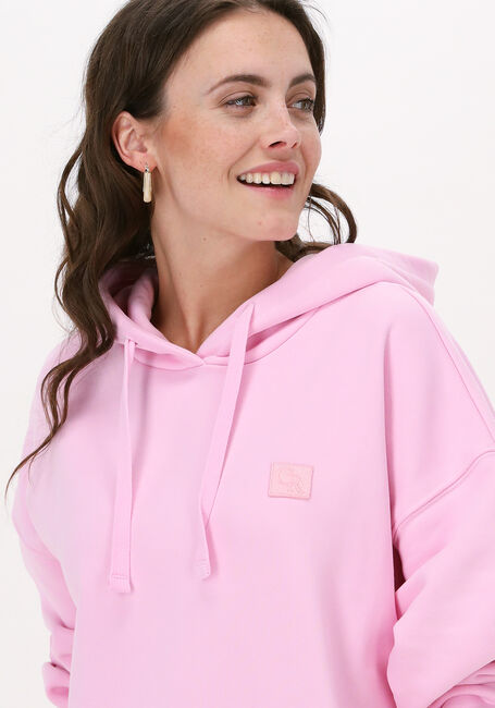 Roze COLOURFUL REBEL Sweater UNI OVERSIZED HOODIE - large