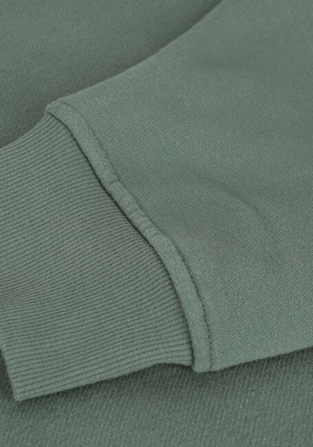 Groene UGG Sweater CHARLES HOODIE - large