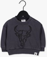 Grijze ALIX MINI Sweater TEENS KNITTED WASHED BULL SWEATER