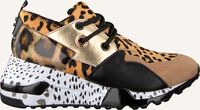 Bruine STEVE MADDEN Lage sneakers CLIFF SNEAKER - medium