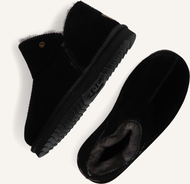 WARMBAT WILLOW WARMBAT WILLOW - large