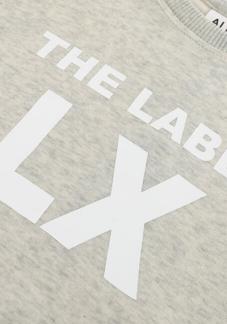 Lichtgrijze ALIX MINI Sweater SPORTY SWEATER - large