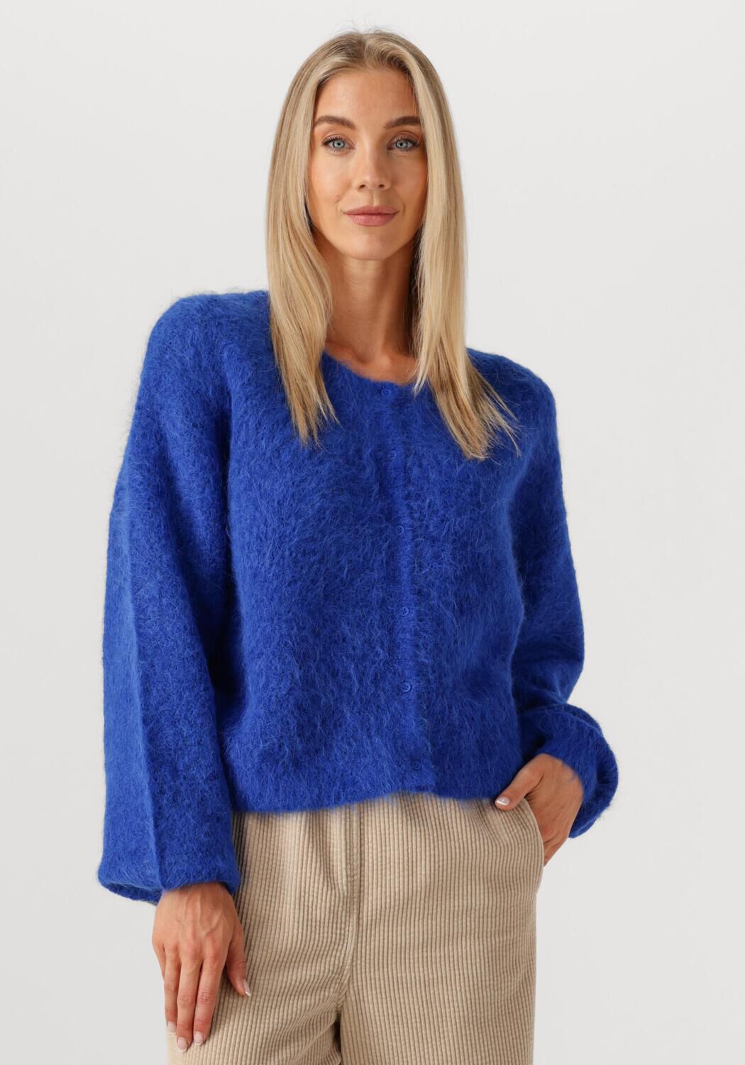 AMERICAN VINTAGE Dames Truien & Vesten Niby Blauw