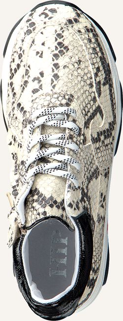 Beige HIP Lage sneakers H1748 Beige HIP Lage sneakers H1748 - large