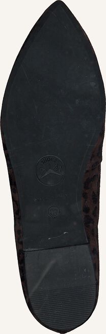 Bruine OMODA Loafers 182722 HP Bruine OMODA Loafers 182722 HP - large