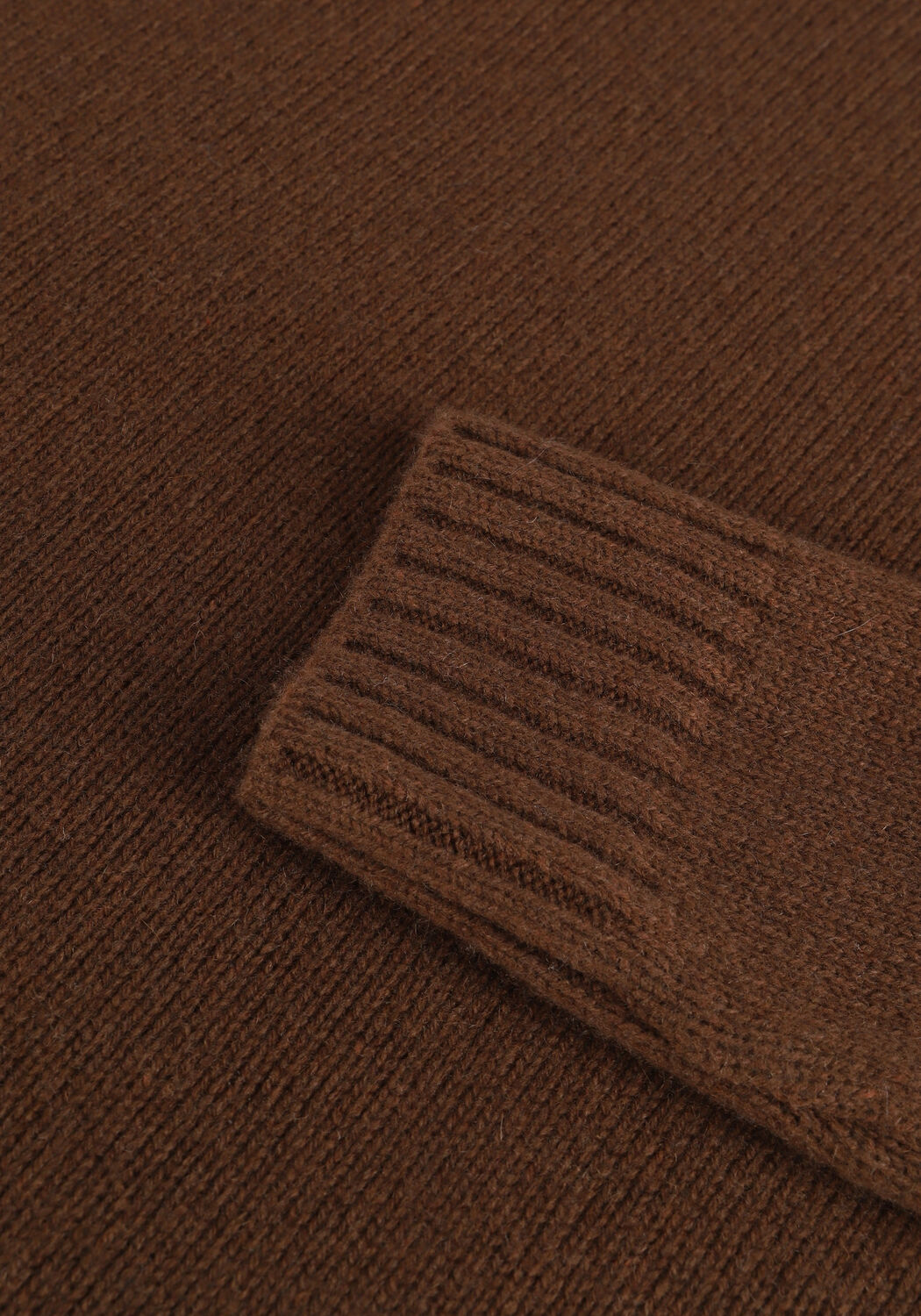 Bruine BELLAMY Coltrui NOORTJE - large