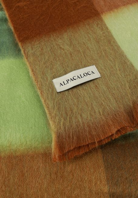 Groene ALPACA LOCA Sjaal BLOCKED SCARF Groene ALPACA LOCA Sjaal BLOCKED SCARF - large