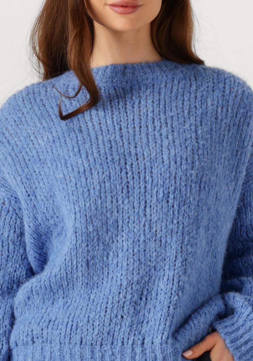 PENN & INK Dames Truien & Vesten Jumper W25l246 Blauw