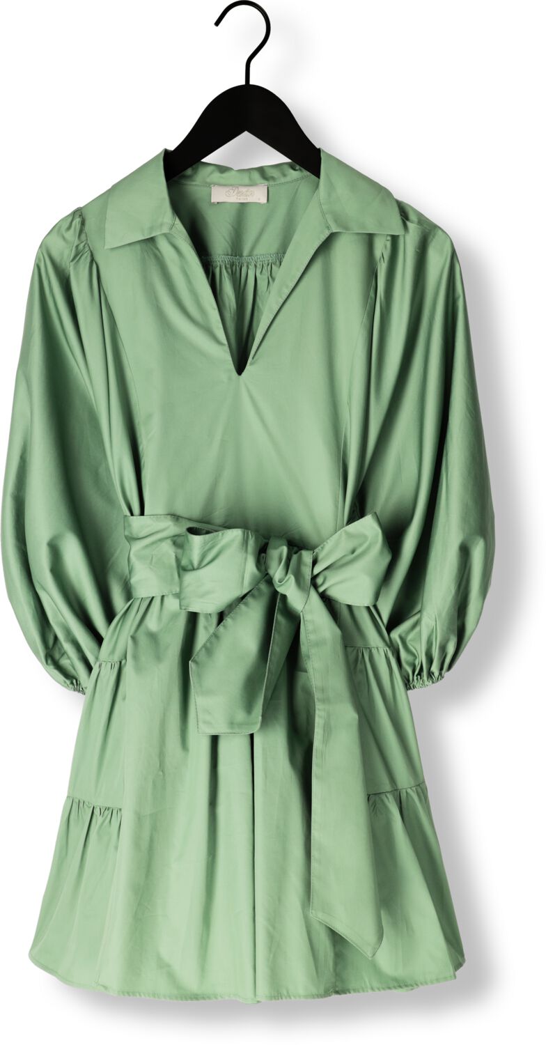 DEVOTION Dames Jurken Precious Groen
