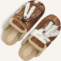 TORAL ARIANA TORAL ARIANA - medium