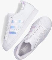 Witte ADIDAS Lage sneakers SUPERSTAR J - medium