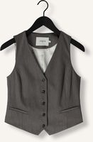 Grijze JANICE Gilet DAVE GILET Grijze JANICE Gilet DAVE GILET - medium