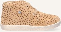 Camel FALCOTTO Veterschoenen VEL.ST.PONY - medium