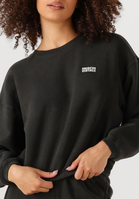Donkergrijze AMERICAN VINTAGE Trui IZUBIRD - large