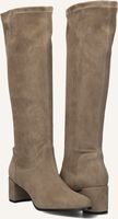 Taupe NOTRE-V Hoge laarzen 8581 Taupe NOTRE-V Hoge laarzen 8581 - medium