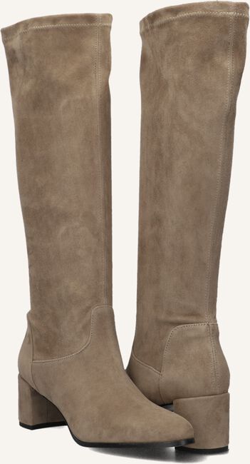 Taupe NOTRE-V Hoge laarzen 8581 Taupe NOTRE-V Hoge laarzen 8581 - large