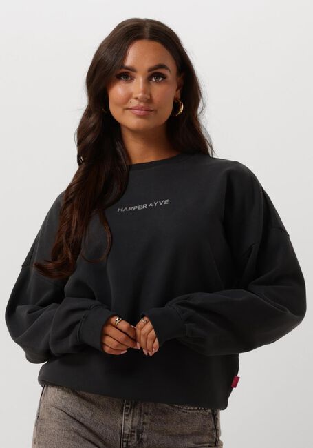 Grijze HARPER & YVE Sweater VIBRANTENERGY-SW - large