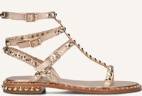 Gouden ASH Platte sandalen PLAY Gouden ASH Platte sandalen PLAY - medium