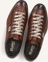 Bruine HARRIS Sneakers 0894 Bruine HARRIS Sneakers 0894 - medium