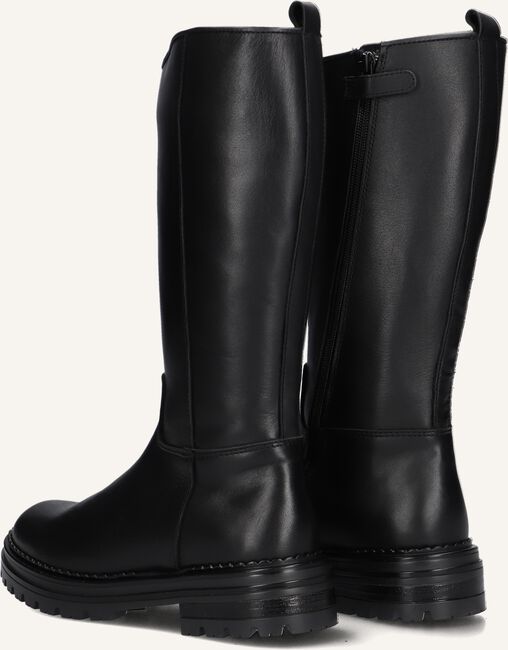 HIP H1624 HIP H1624 - large