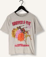 Grijze HARPER & YVE T-shirt EXTRAORDINARY-SS Grijze HARPER & YVE T-shirt EXTRAORDINARY-SS - medium