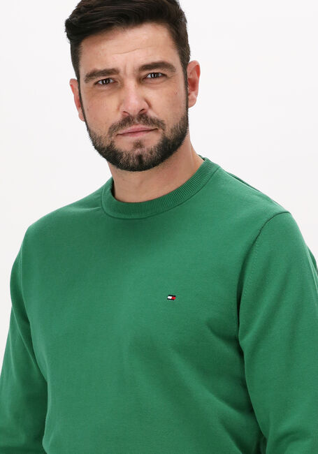 Groene TOMMY HILFIGER Trui 1985 CREW NECK SWEATER - large