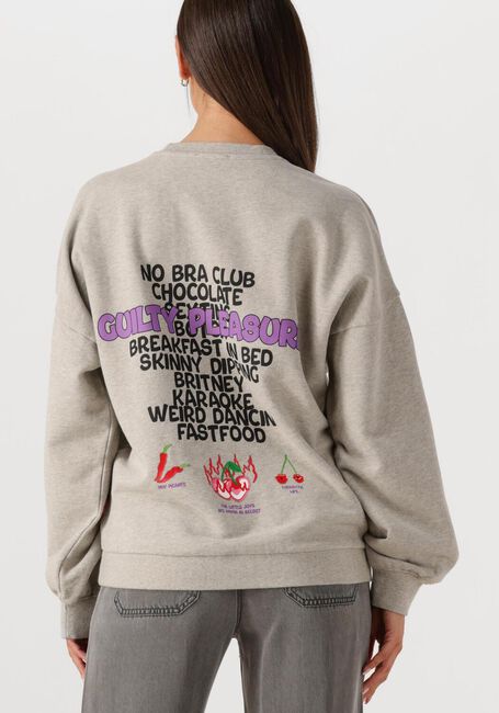 Grijze HARPER & YVE Trui GUILTYLIST-SW - large