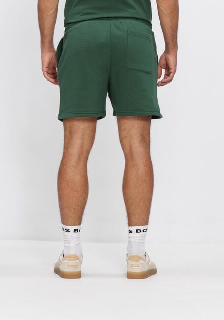 Groene TOMMY JEANS Korte broek TJM S FLAG BEACH SHORT EXT - large