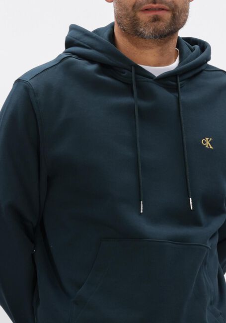 Petrol CALVIN KLEIN Sweater LS 350TERRY EU MONOGRAM HOODIE - large