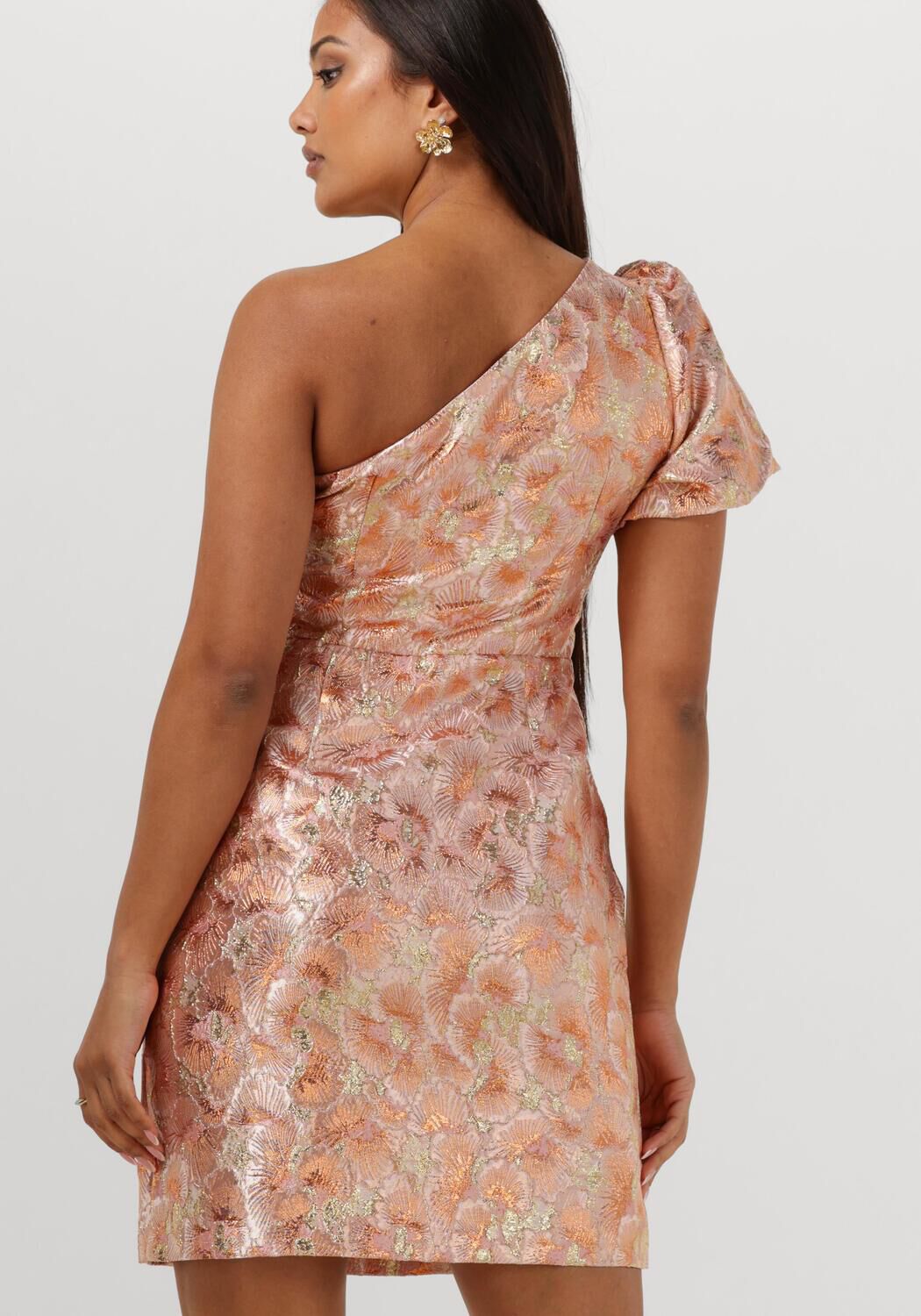 FREEBIRD Dames Jurken Dania Roze