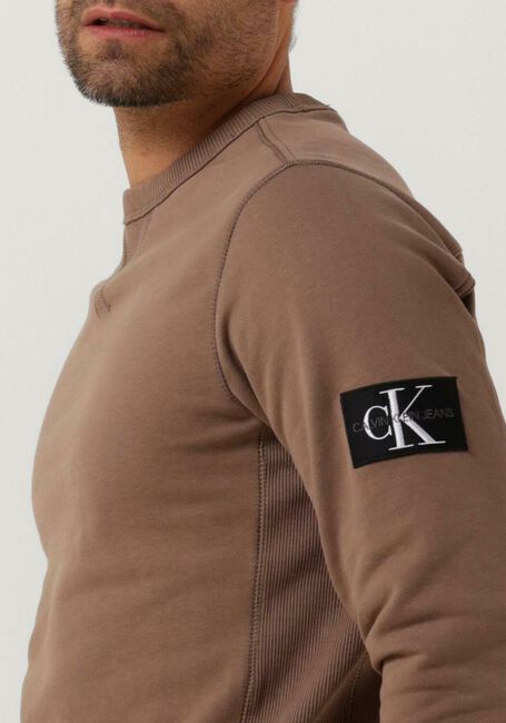 Bruine CALVIN KLEIN Trui MONOLOGO SLEEVE BADGE CN - large