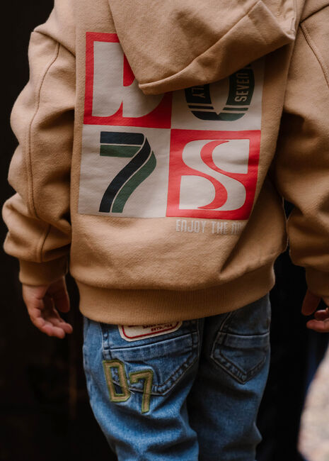 Bruine DAILY7 Truien/vesten HOODIE BACKPRINT D7 - large