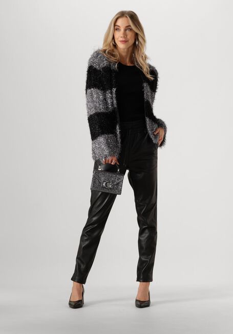 Zilveren NUKUS Vest HAILY CARDIGAN LUREX - large