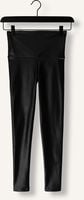 DEBLON SPORTS SHINE LEGGINGS HIGH WAISTBAND DEBLON SPORTS SHINE LEGGINGS HIGH WAISTBAND - medium
