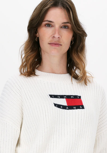 Witte TOMMY JEANS Trui TJW CENTER FLAG SWEATER - large