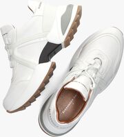 Witte ALEXANDER SMITH Lage sneakers MARBLE - medium