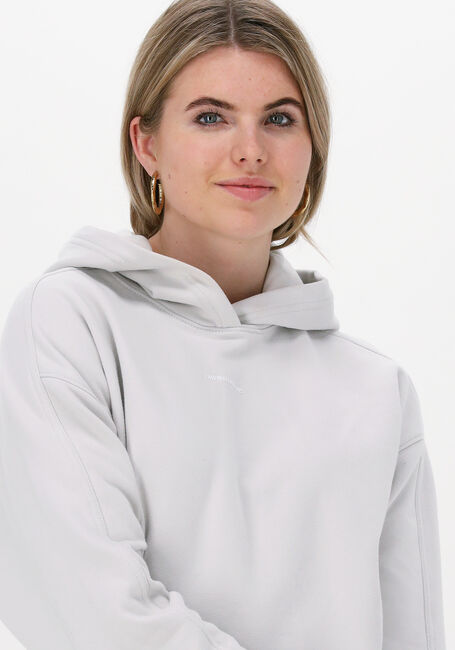 Lichtgrijze CALVIN KLEIN Trui MICRO BRANDING HOODIE - large