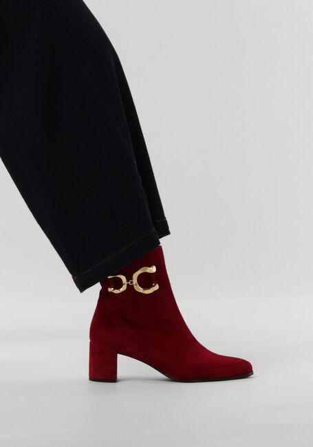 NOTRE-V 8558 NOTRE-V 8558 - large