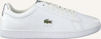 Witte LACOSTE Lage sneakers CARNABY EVO 220 - medium