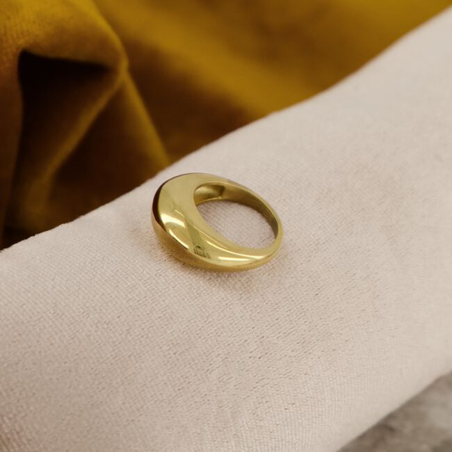 Goudkleurig NOTRE-V Ringen RING ZEGEL ONE SIZE Goudkleurig NOTRE-V Ringen RING ZEGEL ONE SIZE - large