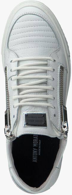 witte ANTONY MORATO Sneakers LE300002  - large