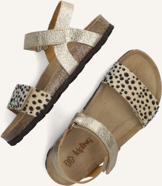 Gouden KIPLING Sandalen PANDORA 4B Gouden KIPLING Sandalen PANDORA 4B - large