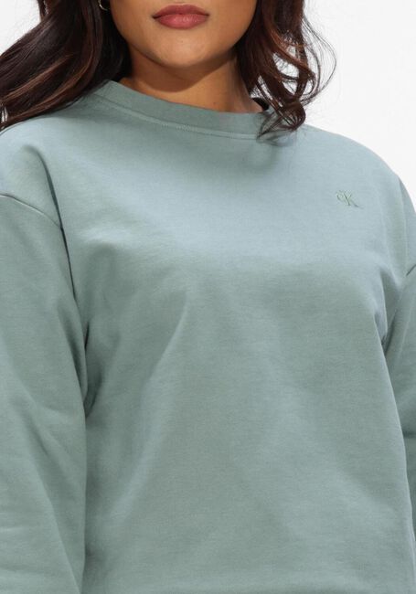 Groene CALVIN KLEIN Sweater LS ARCHIVE LOGO FRENCH TERRY RLX - large