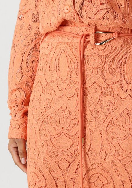 Perzik AAIKO Midirok AMIA PES 565 - large