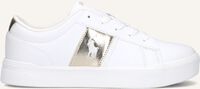 Witte POLO RALPH LAUREN Lage sneakers FRAZIER Witte POLO RALPH LAUREN Lage sneakers FRAZIER - medium