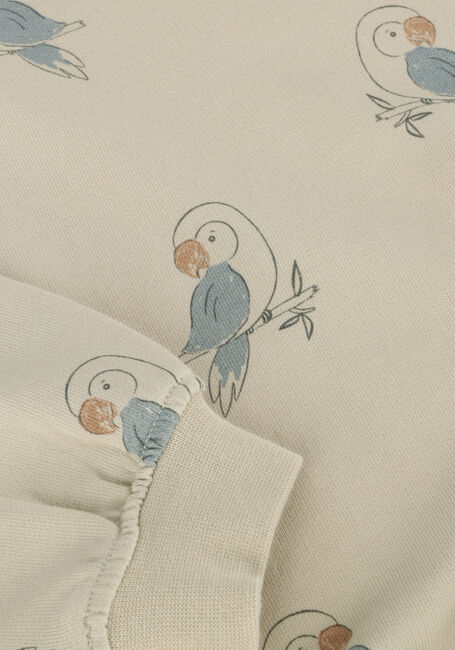 Kit RYLEE + CRU Sweater SWEATSHIRT PARROTS - large