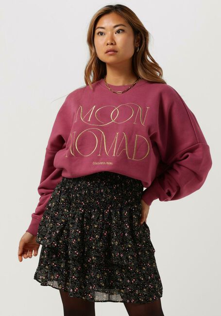 Roze COLOURFUL REBEL Trui MOON NOMAD EMBRO DROPPED SWEAT - large