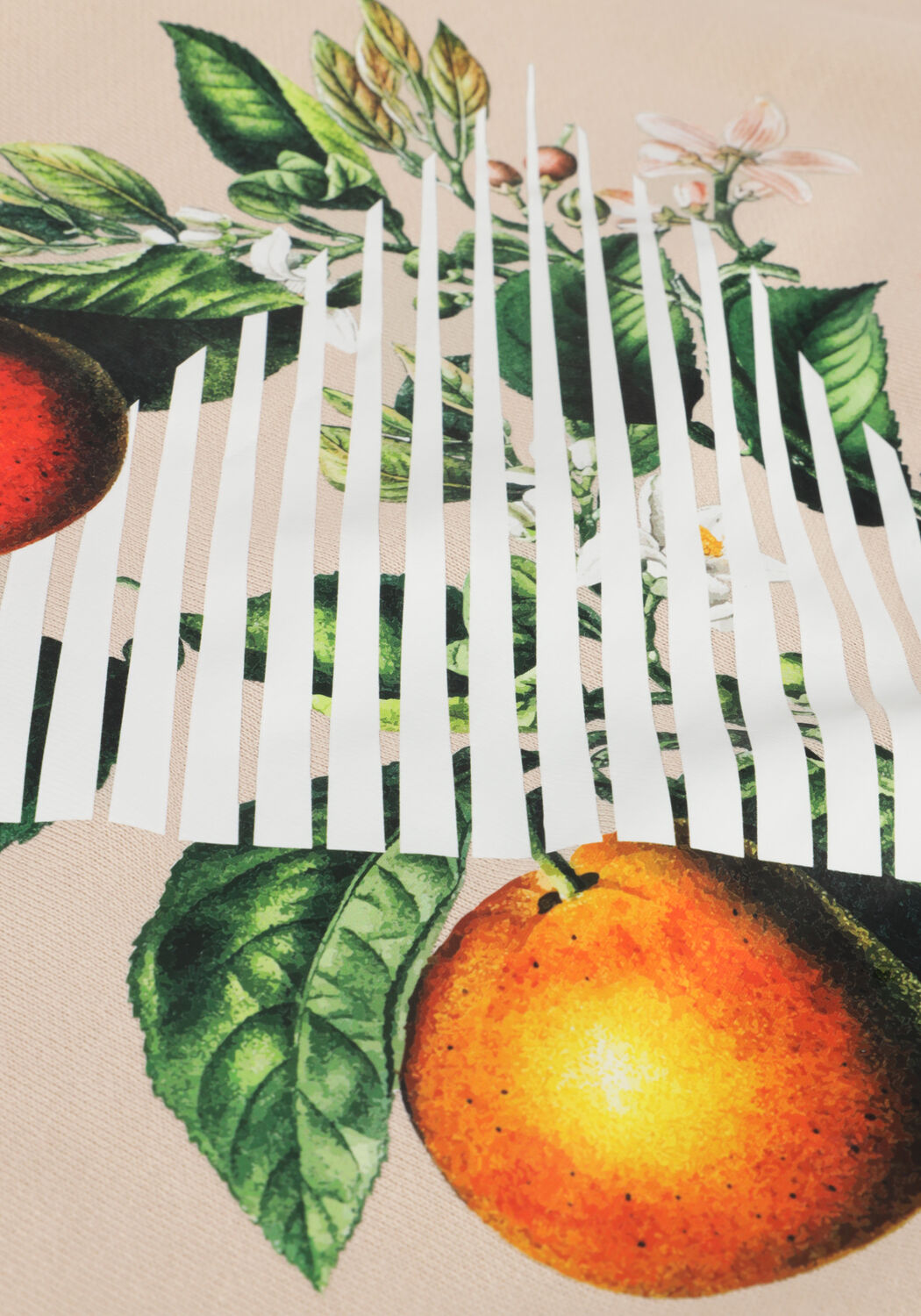 Zand PURE PATH Trui CREWNECK WITH FNT AND BACK PRINT - large