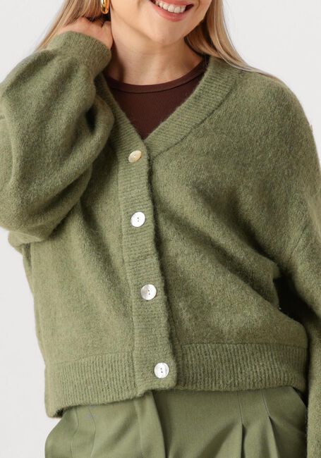 Groene MSCH COPENHAGEN Vest MSCHPETRINELLE HOPE CARDIGAN - large